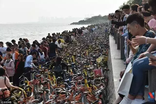 向乱停乱放局面说再会，共享单车迎来典型化处置